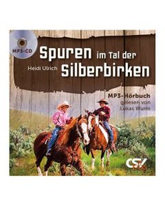 Spuren im Tal der Silberbirken - Hörbuch