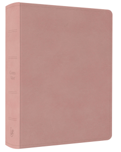 NeÜ LIEBEZURBIBEL (Schreibrandbibel rosa) - 275061 | cb-buchshop.de