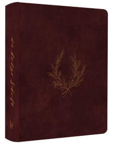 NeÜ LIEBEZURBIBEL (Schreibrandbibel wine) - 275064 | cb-buchshop.de