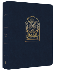 275139 - LiebezurBibel Fons Vitae | CB Buchshop