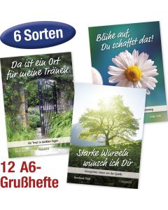 480004068 Sparpaket Grußhefte