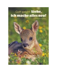 Postkarten 4 Karten im Set