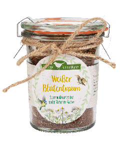Weißer Blütentraum / Weckglas