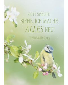 Poster A2 'Gott spricht: Siehe, ich mache alles neu! Offenbarung 21,5