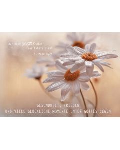 179730409 - Postkarte Geburtstag | cb-buchshop.de