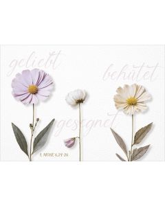 179730392 - Postkarte geliebt – behütet – gesegnet | cb-buchshop.de