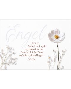 179730391 - Postkarte Engel | cb-buchshop.de