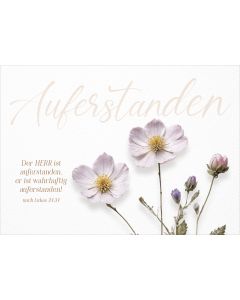179730413 - Postkarte Ostern | cb-buchshop.de