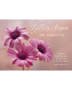179730408 - Postkarte Gottes Segen | cb-buchshop.de