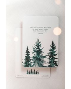 Postkarten 10 Stück - Denn euch ist heute ein Retter geboren